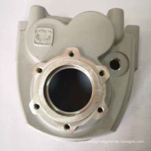 Popularly Durable Painting Spray Parts Die Casting Engine Cover